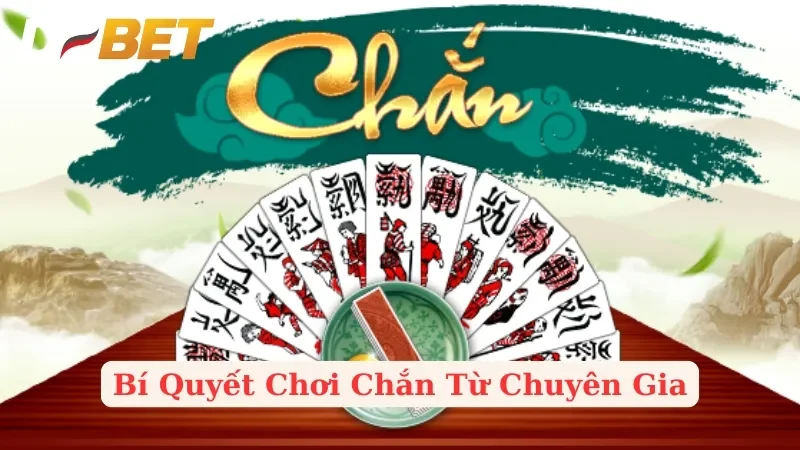 Chia Sẻ Bí Quyết Chơi Chắn Thành Công Từ Chuyên Gia