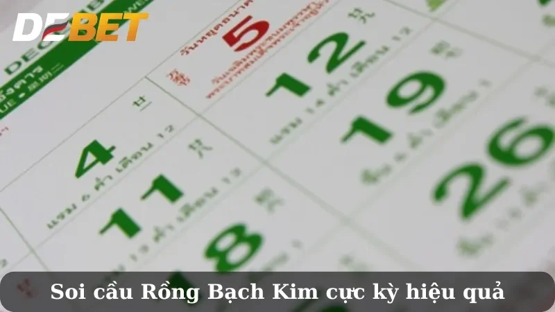 Cầu 247 rồng bạch kim