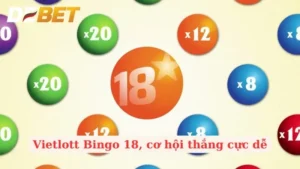 Bí Quyết Chơi Xổ Số Vietlott Bingo 18 Hiệu Quả Từ Cao Thủ