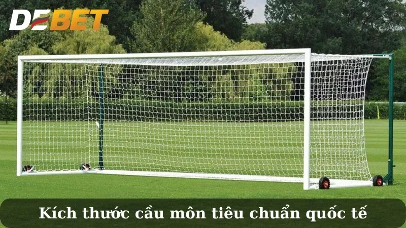 cầu môn futsal