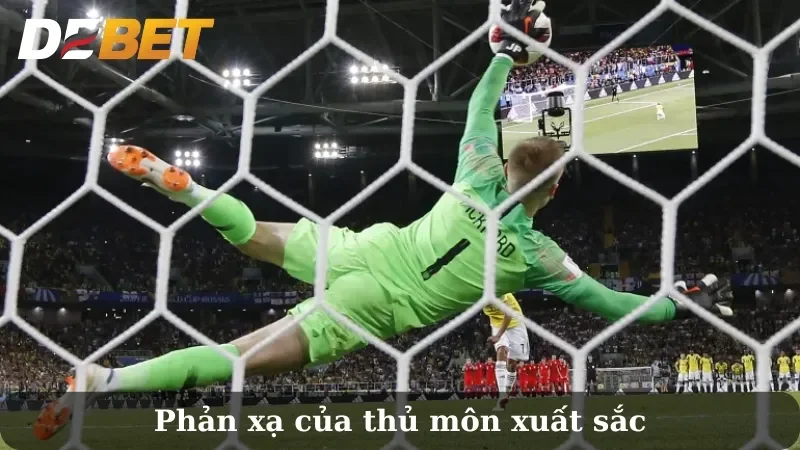 luật penalty