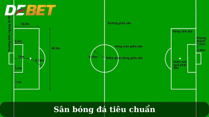 sân bóng cỏ nhân tạo